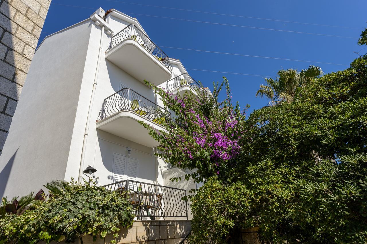 Bellevue Guest house